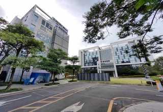 惠山区盆栽绿植租赁好不好